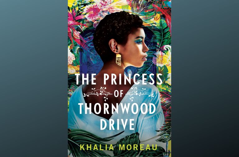 'The Princess of Thornwood Drive' - A Different Kind of Storytelling