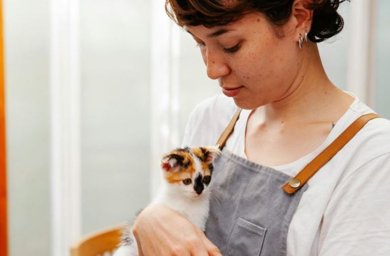 JD Vance Goes After Childless Cat Ladies | Opinion