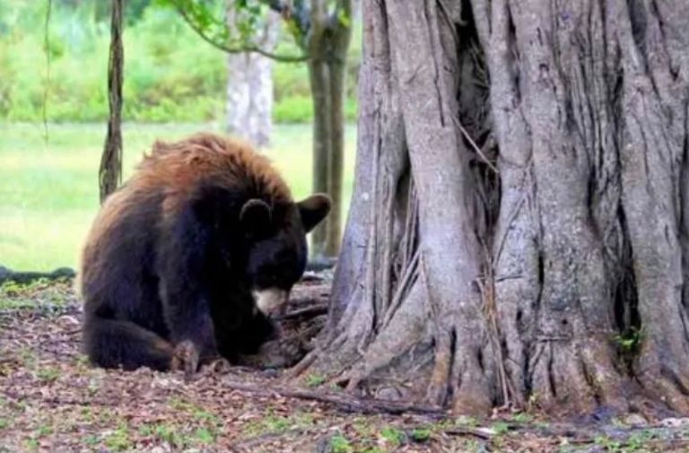 Photo courtesy of Adobe.