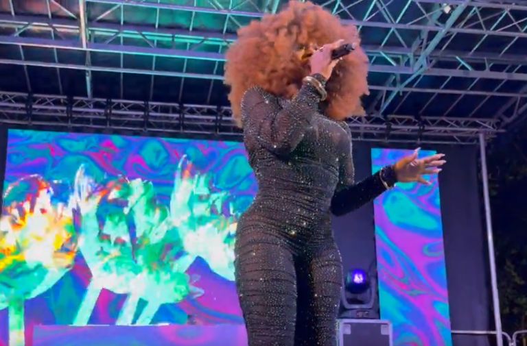 Disco Diva & Bears Rule Richardson Park | WATCH