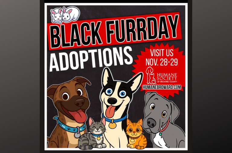 Black Furrday is Back at the Humane Society of Broward County