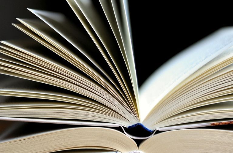 Miami Book Fair 2025: A Week of Stories, Magic, and Miami Energy