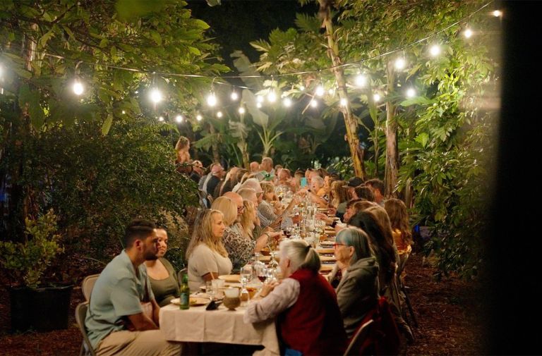 A Tropical Fruit Oasis Reveals Global Flavors