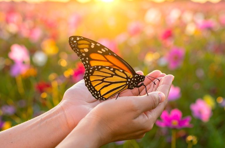 Springing Forward: Finding Hope, Joy, and Strength in Challenging Times | Opinion