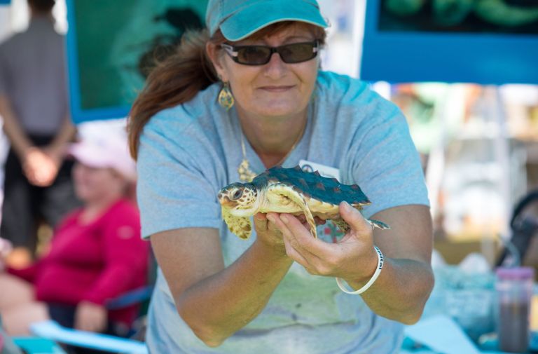 Ocean Fest Brings Fun and Science to the Florida Keys