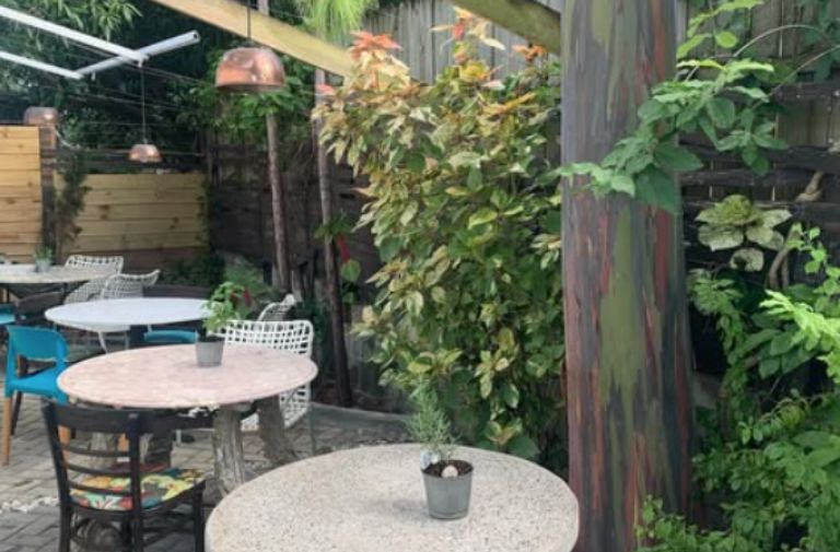 Hidden in Plain Sight: The Tiny Wilton Manors Café with a Big Backyard Surprise