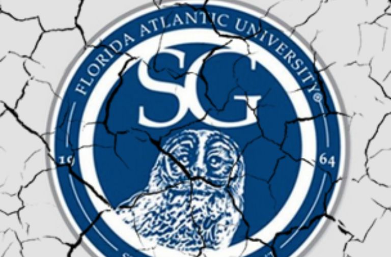 Student Government Was Supposed to Teach Leadership. Instead, It Became Toxic