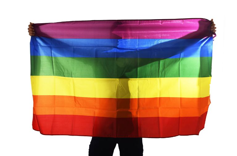 GayDays Cancels Annual Event, Vows to Return