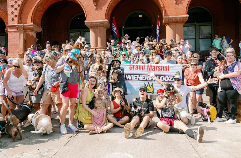 Calling All Island Dogs for Wienerpalooza