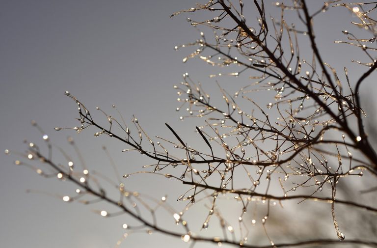 February YA Reads to Beat the Winter Blues